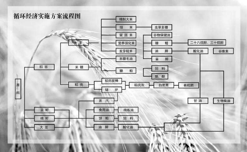 生物柴油發電機發電